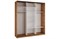 Шкаф-купе 3-х дверный Айсберг Лофт 200 с зеркалом - фото 135740